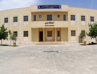 دانشگاه یزد-پادینو