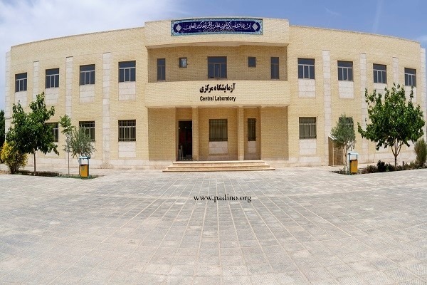 دانشگاه یزد-پادینو