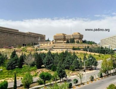 دانشگاه شیراز-پادینو