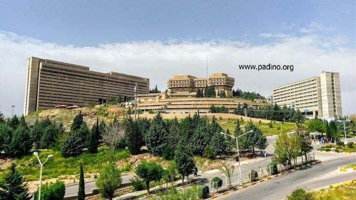 دانشگاه شیراز-پادینو