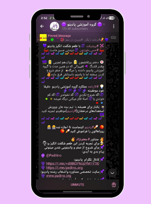 Untitled design (25)