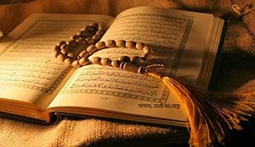 رشته الهیات و معارف اسلامی-پادینو