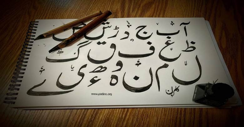 رشته زبان و ادبیات اردو-پادینو