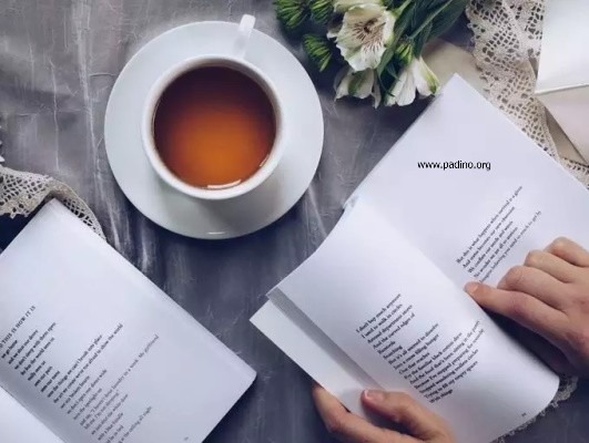 رشته زبان و ادبیات انگلیسی-پادینو