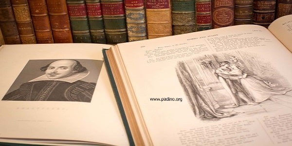 رشته زبان و ادبیات انگلیسی-پادینو