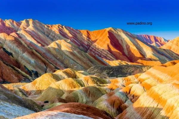 بازار کار رشته ژئومورفوروژی-پادینو