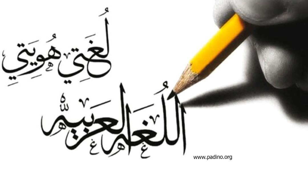 رشته مترجمی زبان عربی-پادینو