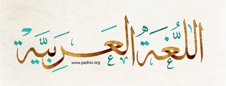 رشته مترجمی زبان عربی-پادینو